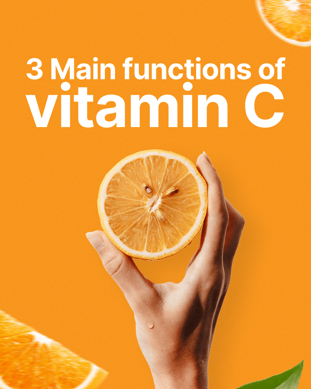 digital marketing agency